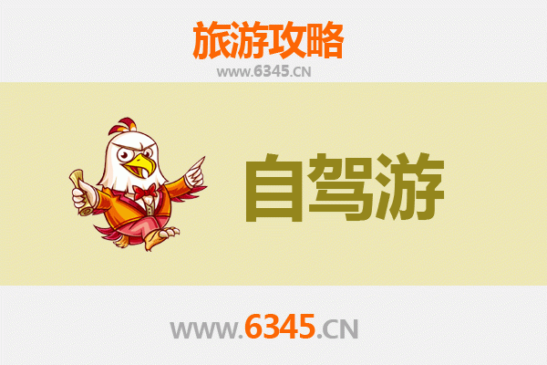 银川金凤区自驾游全攻略：塞上江南的现代与自然交融之旅