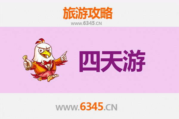 银川金凤四天三夜深度游攻略：探索塞上江南的魅力之旅